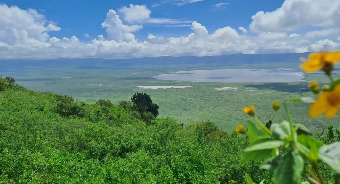 ngorongoro crater2 (1)